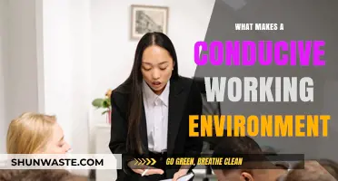 Crafting Productivity: Key Elements for a Conducive Working Environment
