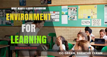 Creating Engaging, Supportive, and Productive Classroom Environments for Effective Learning