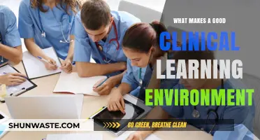 Creating Optimal Clinical Learning Environments: Key Factors for Success