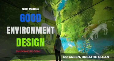 Crafting Immersive Spaces: Key Principles of Effective Environment Design