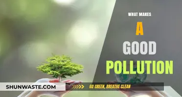 Effective Pollution Control: Key Factors for Success