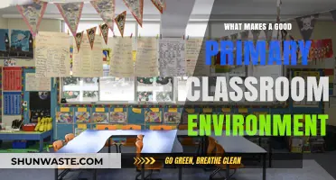 Creating Engaging Primary Classrooms: Key Elements for Effective Learning Spaces