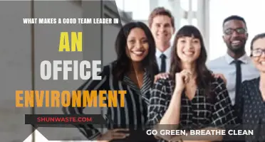 Effective Team Leadership: Key Traits for Office Success and Collaboration