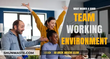 Cultivating Collaboration: Key Elements for a Thriving Team Environment