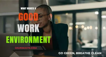 Creating Productive Workplaces: Key Elements of a Good Work Environment