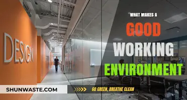 Creating a Productive Workplace: Key Elements of a Good Working Environment
