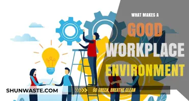 Creating a Thriving Workplace: Key Elements for Employee Satisfaction and Productivity
