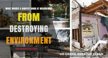 Resilient Habitats: Key Factors in Recovering from Environmental Destruction