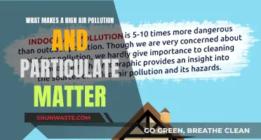 Air Pollution: Understanding Particulate Matter's Impact