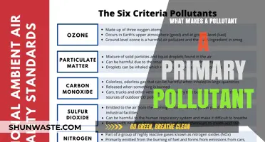 What Defines Primary Pollutants?