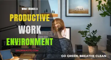 Creating a Productive Work Environment: Key Factors for Success