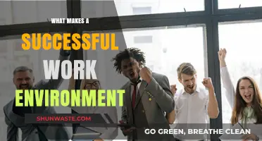 Creating Success: Key Elements of a Thriving Work Environment