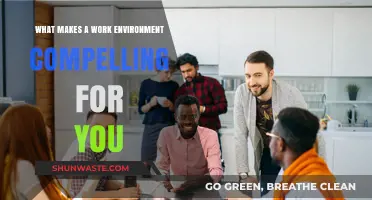 Crafting the Ideal Workplace: Key Factors That Make Work Compelling