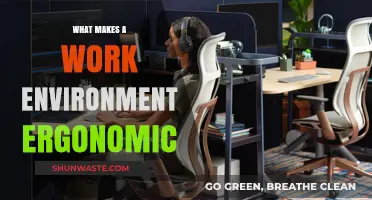Creating Comfort: Key Elements of an Ergonomic Work Environment