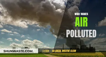 Air Pollution: The Unseen Killers Around Us