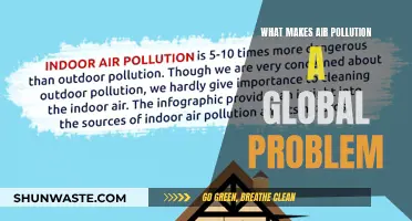 Air Pollution's Global Impact: Why It's a Worldwide Concern