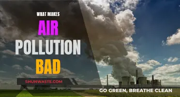 Air Pollution: A Lethal Crisis