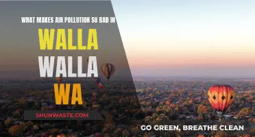 Air Pollution Crisis in Walla Walla, WA: Why?