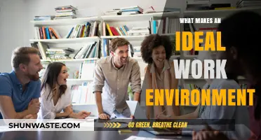 Crafting the Perfect Workplace: Key Elements of an Ideal Work Environment