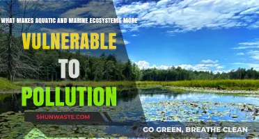 Aquatic Ecosystems: Pollution's Perfect Storm
