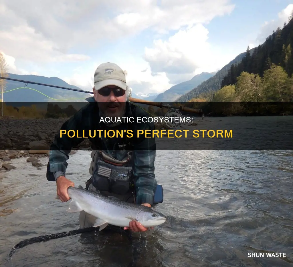 what makes aquatic and marine ecosystems more vulnerable to pollution