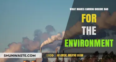 Carbon Dioxide's Environmental Impact: Understanding Its Harmful Effects