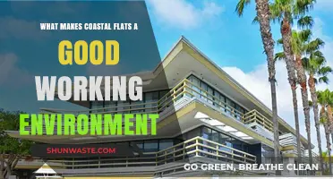 Coastal Flats: Enhancing Productivity and Well-being in a Unique Workspace