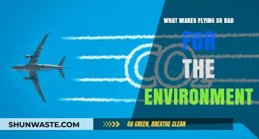 Flying's Environmental Impact: Uncovering Aviation's Hidden Carbon Footprint