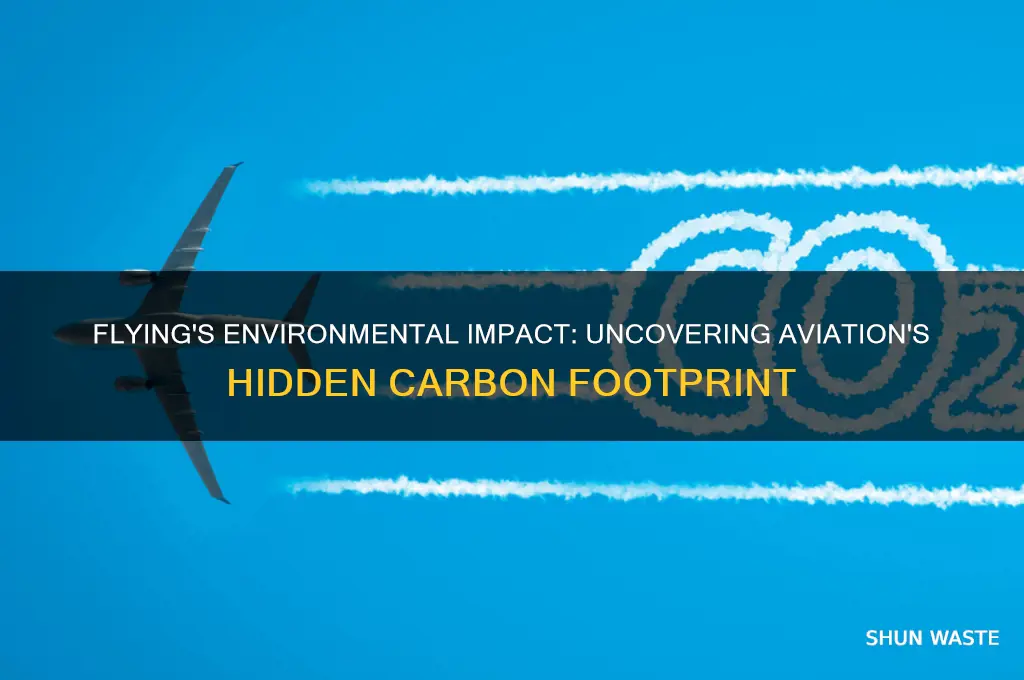 what makes flying so bad for the environment