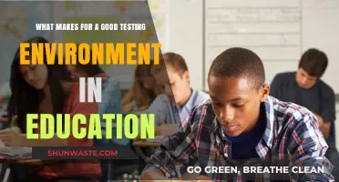 Crafting Effective Testing Environments: Key Strategies for Educational Success