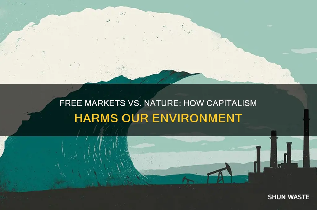 what makes free market economy bad for environment