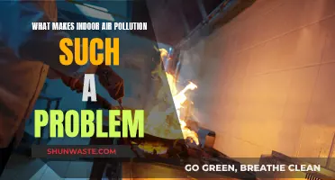 Air Quality Alert: Indoor Pollution's Silent Danger