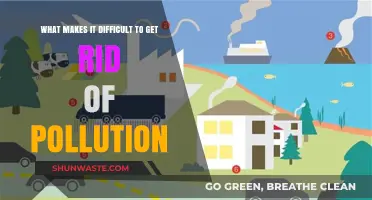 Pollution's Persistent Problems: Why We Can't Shake Them Off