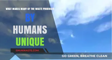 Human Waste Uniqueness: Exploring Our Distinct Environmental Footprint