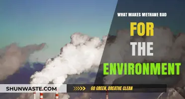 Methane's Environmental Impact: Uncovering Its Harmful Effects on Our Planet