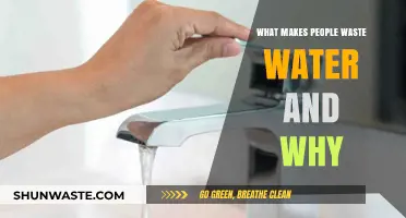 Understanding Water Waste: Habits, Mindsets, and Solutions for Conservation