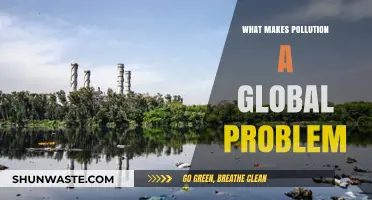 Pollution's Global Impact: A Universal Concern