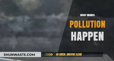 Human Activities and Pollution: Understanding the Connection