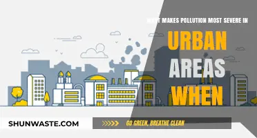 Urban Pollution: Why It's Worse in Cities