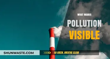 Visible Pollution: What's the Cause?