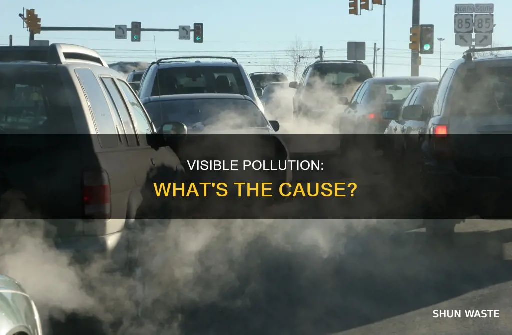 what makes pollution visible