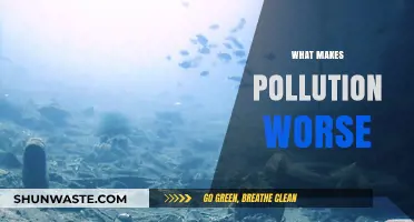 Human Activities Worsen Pollution
