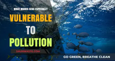 The Vulnerability of Our Seas to Pollution