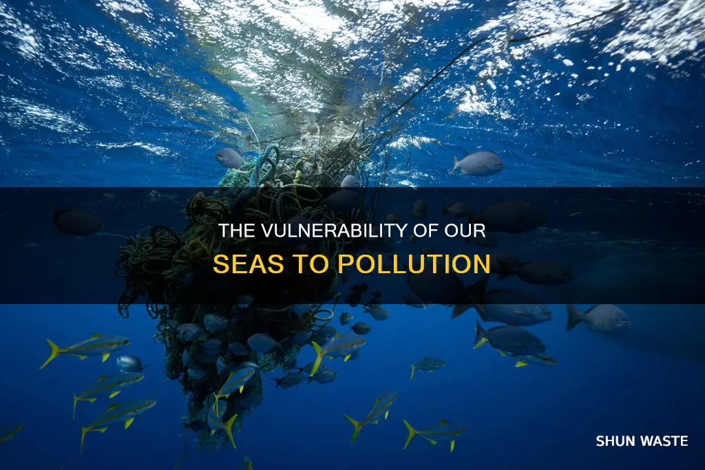 what makes seas especially vulnerable to pollution
