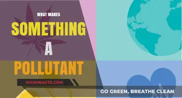 Understanding Pollutants: What Makes Them Harmful?