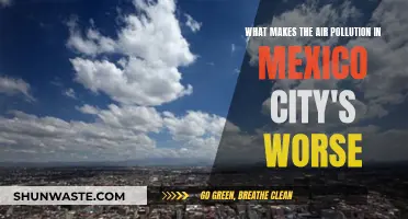 Mexico City's Air Pollution: A Complex Crisis