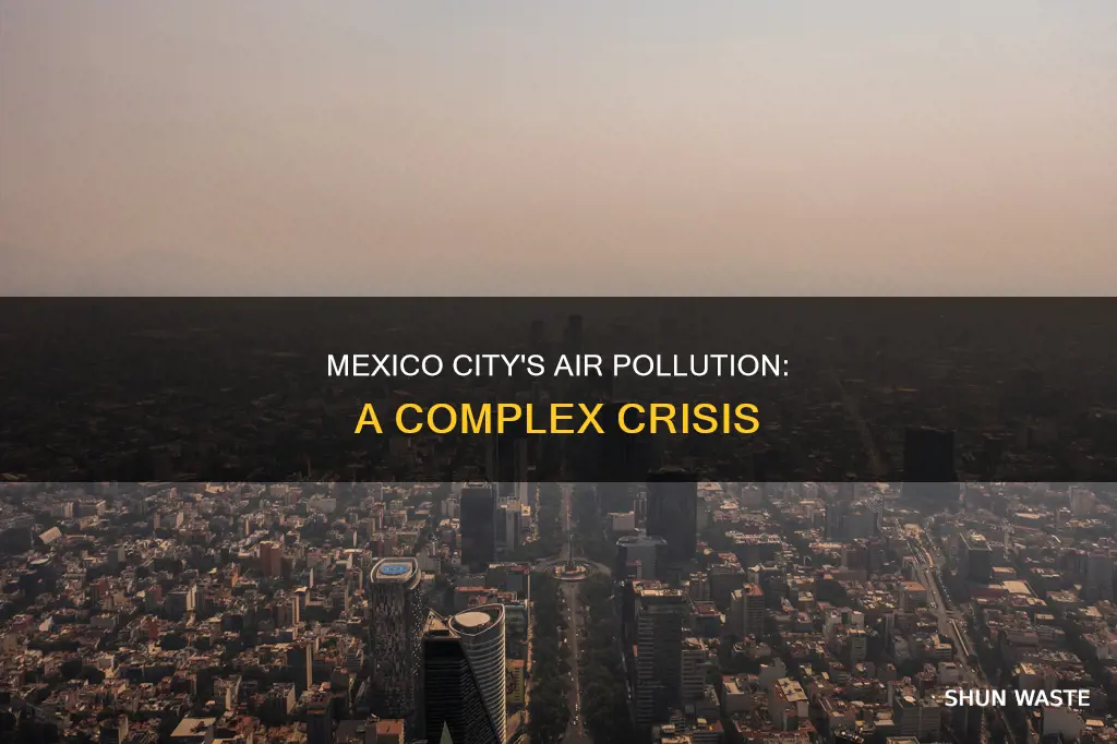 what makes the air pollution in mexico city