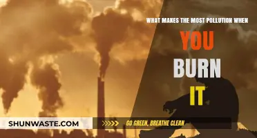 Burning Pollutants: What's the Worst Offender?