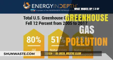 Greenhouse Gas Sources: The Unseen Third