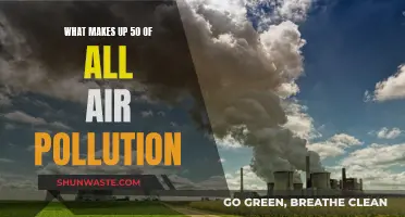 Air Pollution: Half Caused by Human Activity